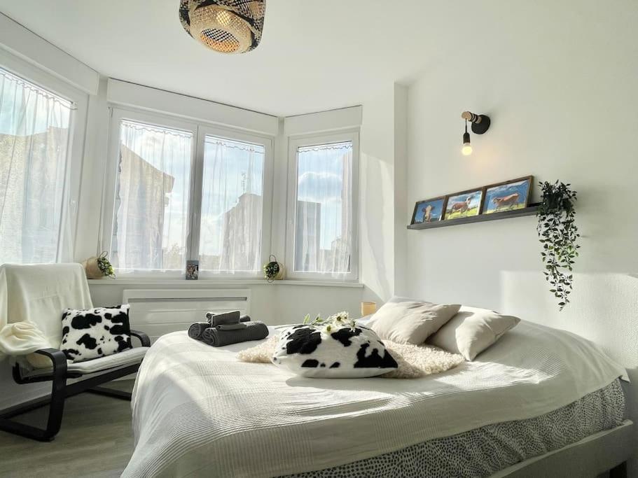 Apartmán La Mascotte Saint-Louis  Exteriér fotografie