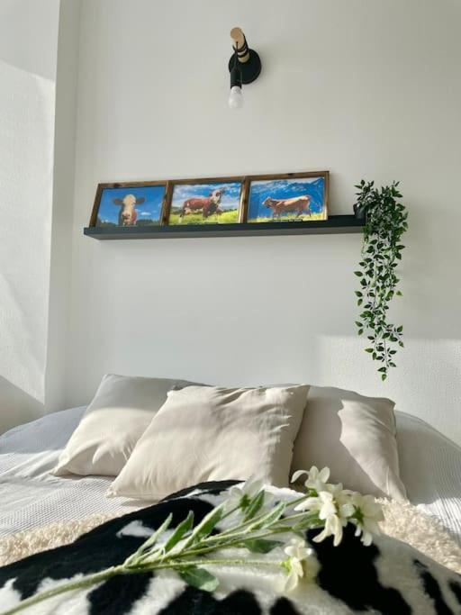 Apartmán La Mascotte Saint-Louis  Exteriér fotografie